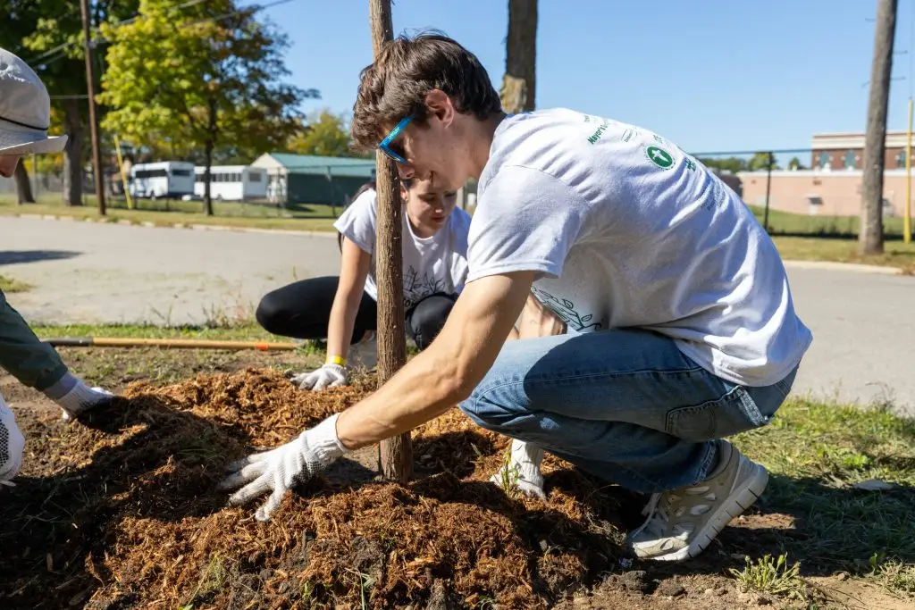 Two people planting a tree on a sunny day. One person crouches, wearing a white shirt, jeans, gloves, and sunglasses. Another person is in the background, kneeling and helping. A road, trees, and buildings are visible in the background.