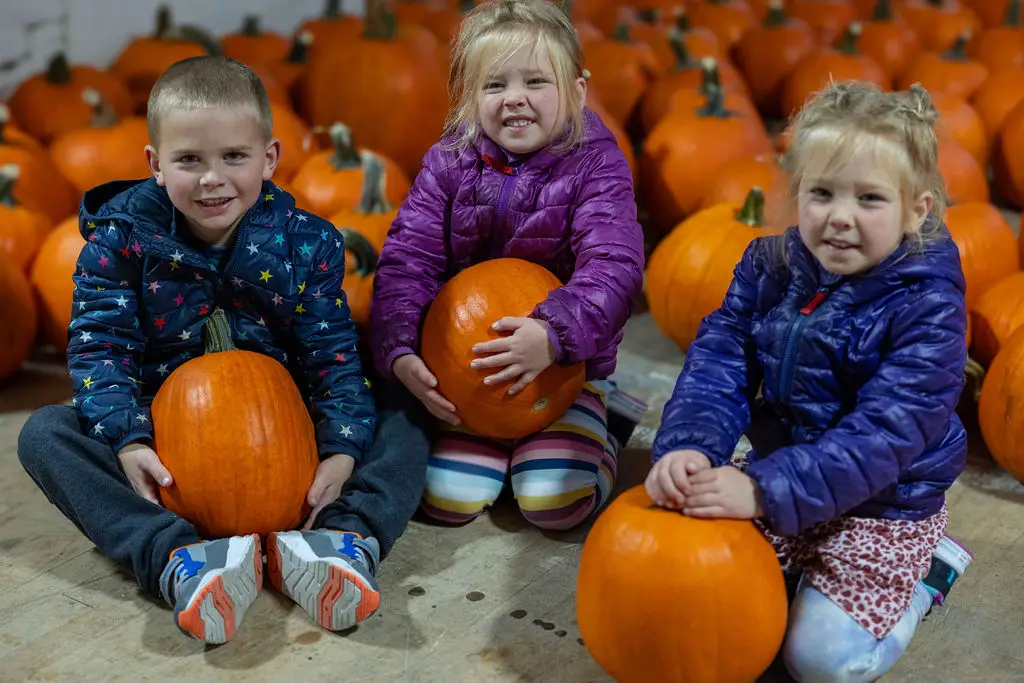 Three children sit on the floor surrounded by pumpkins. Each child holds a pumpkin and smiles at the camera. They are wearing colorful jackets and sitting on a wooden surface, creating a festive, autumn atmosphere.