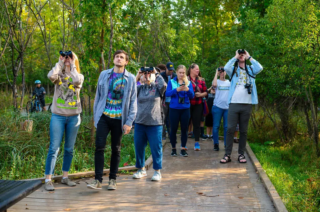 A group of people stand on a wooden path in a forested area, looking through binoculars at the sky. They are engaged in bird watching, surrounded by lush green foliage. Some hold cameras, while others wear casual outdoor clothing.