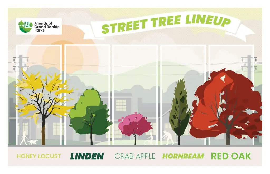 Illustration of the Street Tree Lineup featuring five trees: Honey Locust, Linden, Crab Apple, Hornbeam, and Red Oak. The scene includes buildings, hills, and a sunrise. Friends of Grand Rapids Parks logo is in the top left corner.