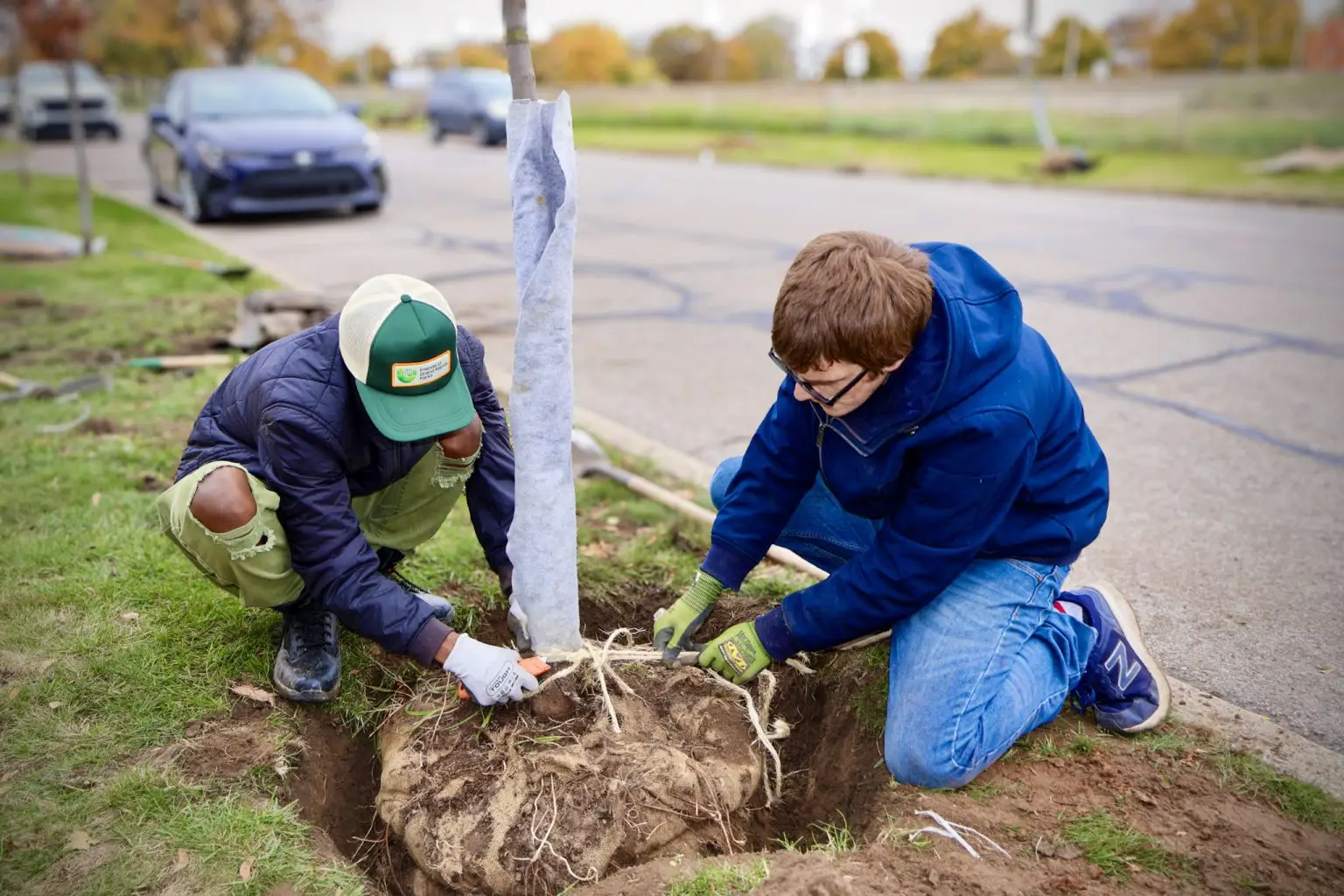 planting a tree