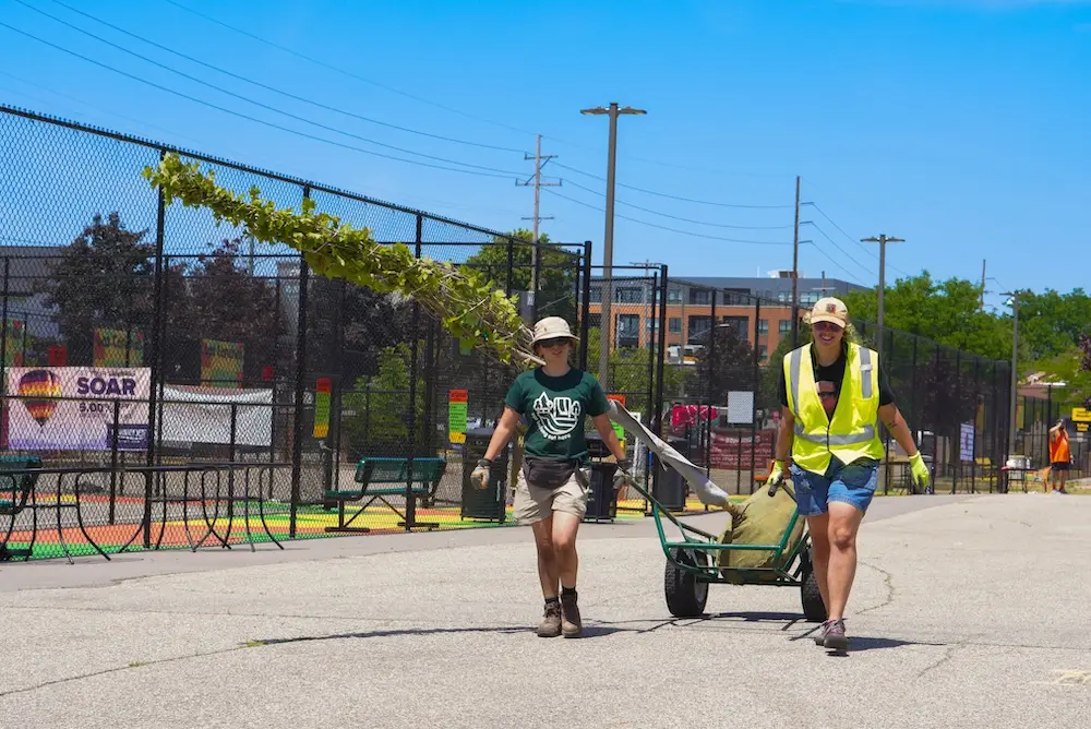 Two people with a tree in a cart