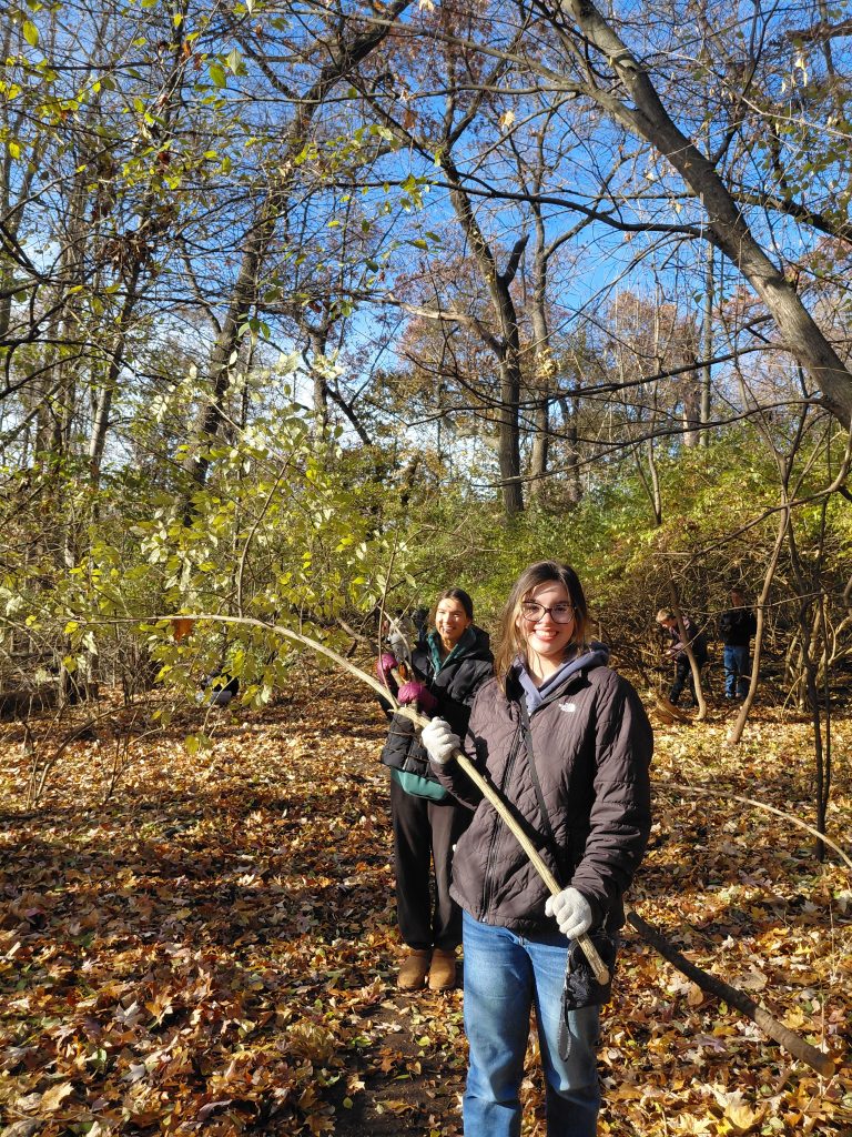 Conservation at MacKay-Jaycees Park