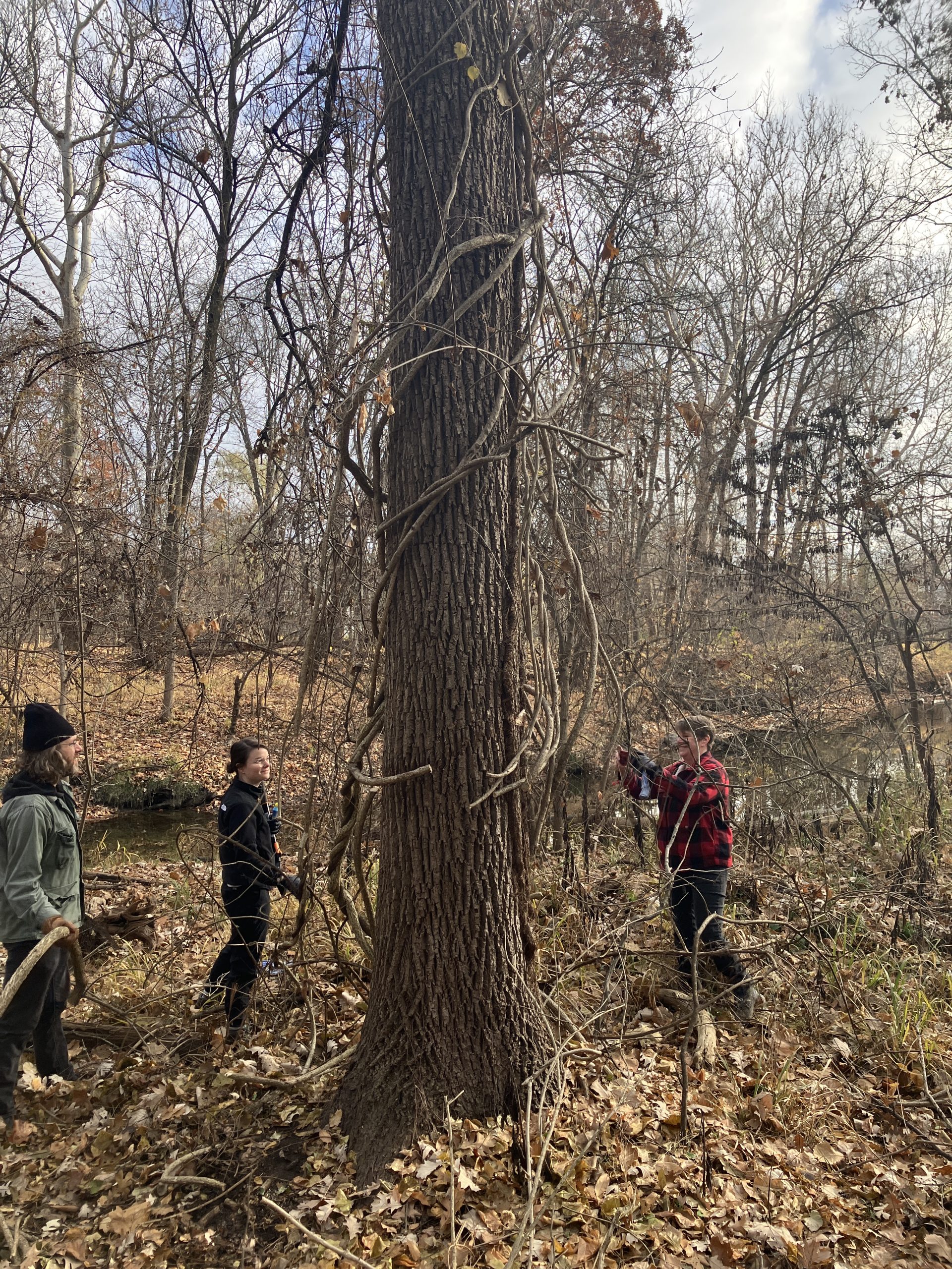 CANCELED: Conservation Crew at Paster Creek - Friends of Grand Rapids Parks