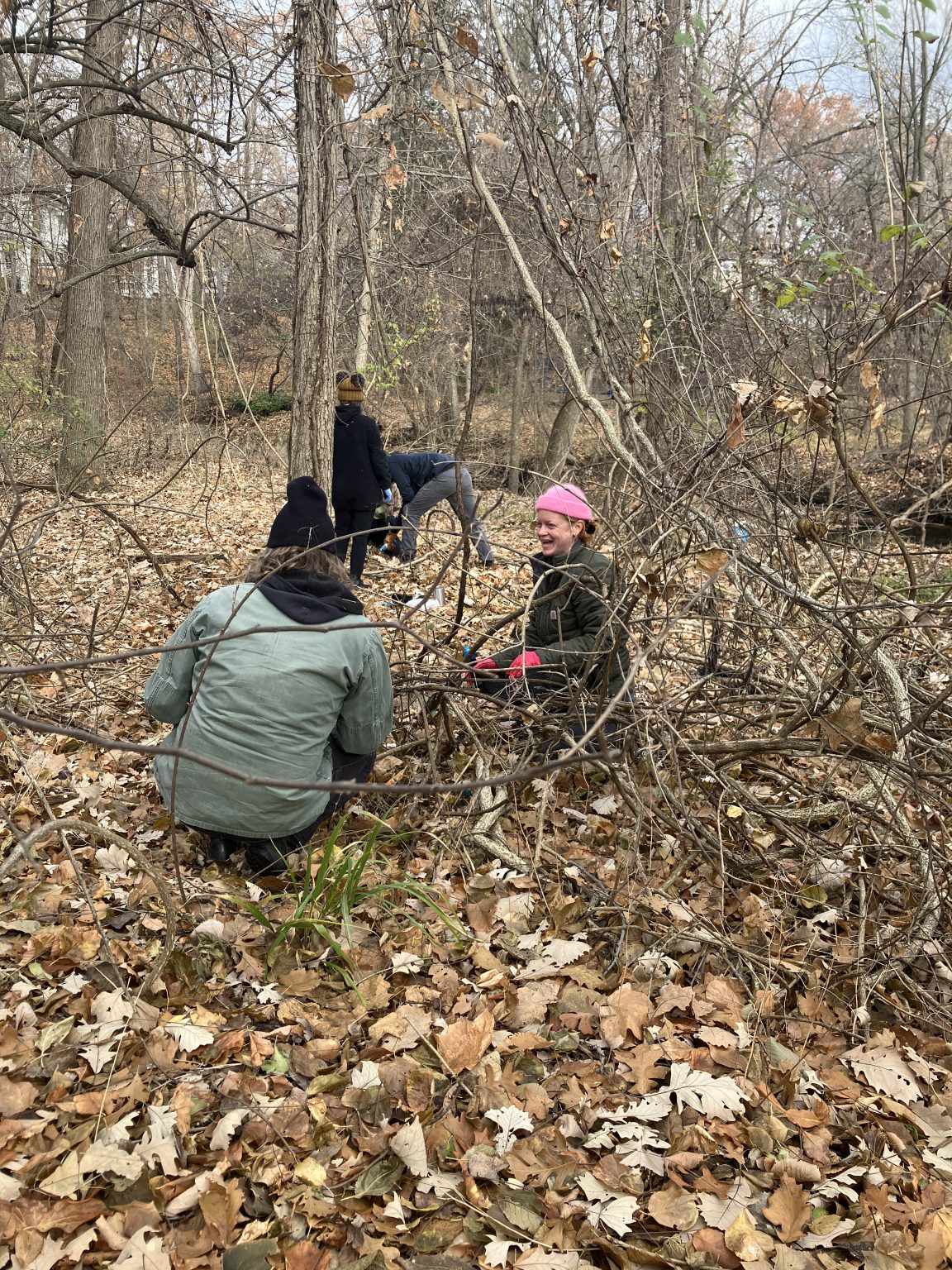conservation workday