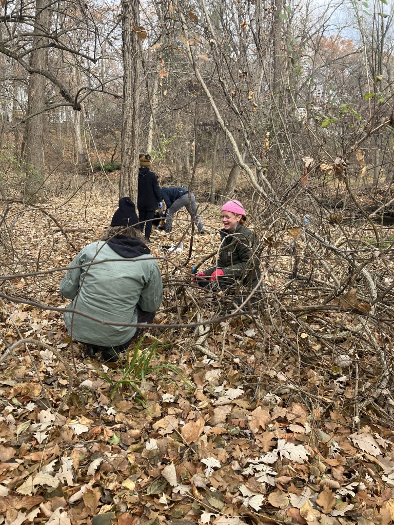 conservation workday