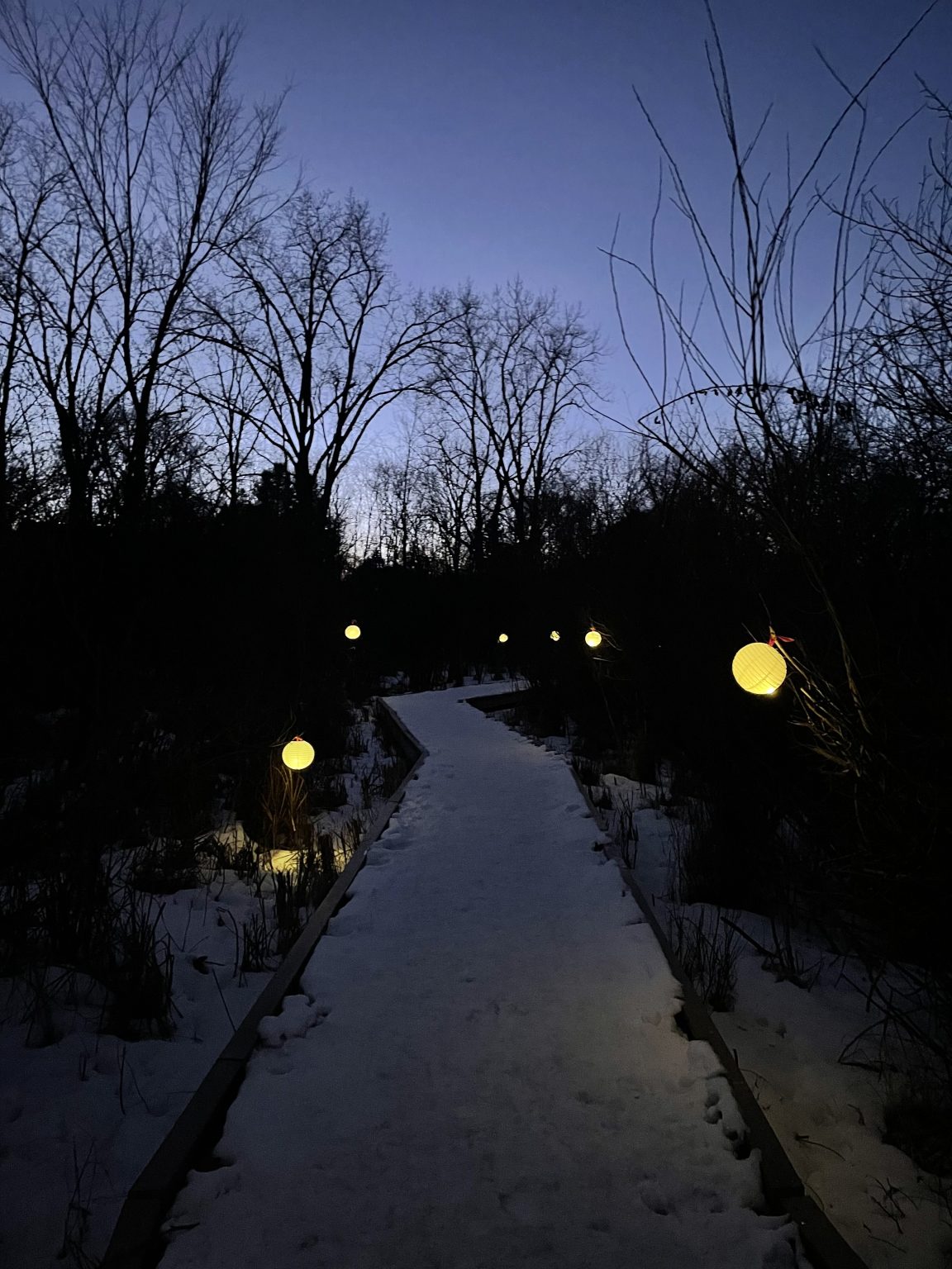 luminaries on the boardwalk at huff park