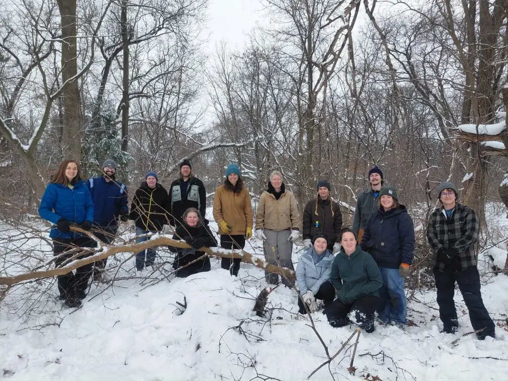 conservation volunteers in the woods