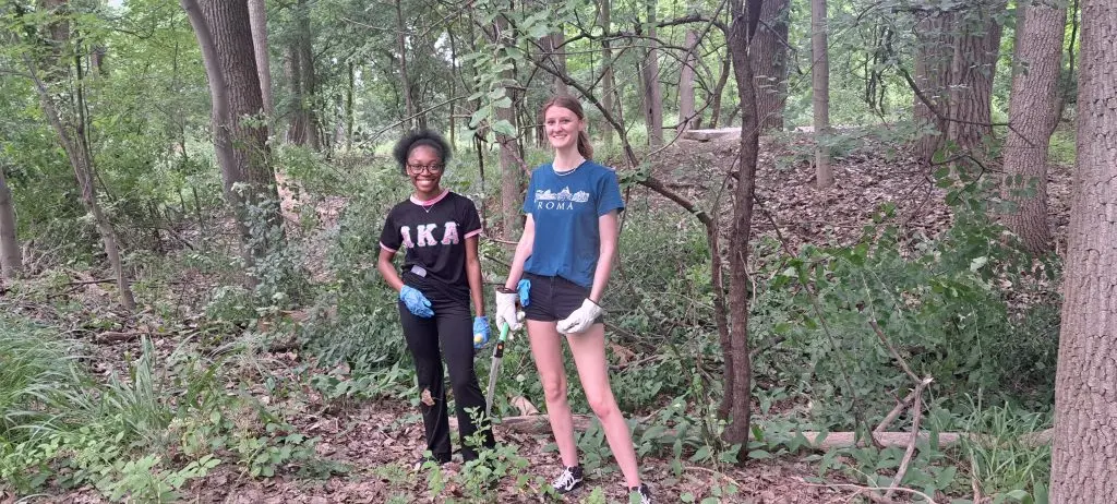 two people working in the woods