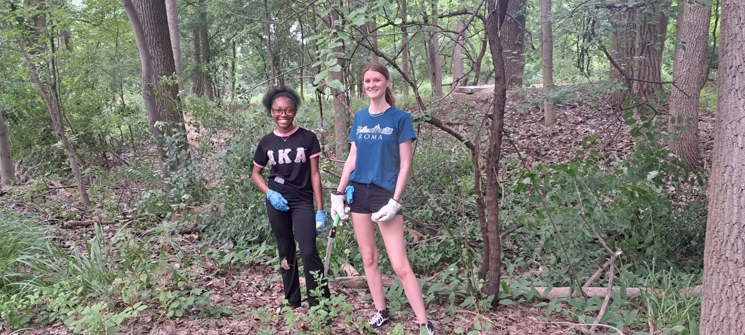 two people working in the woods