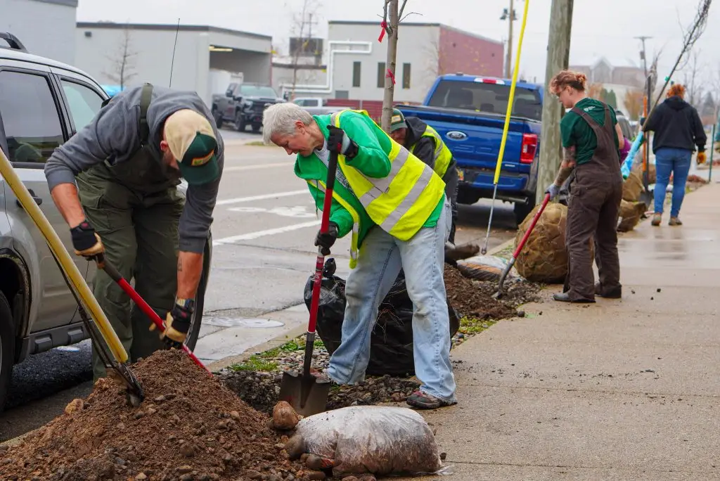 planting trees