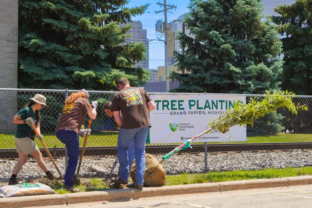 planting trees