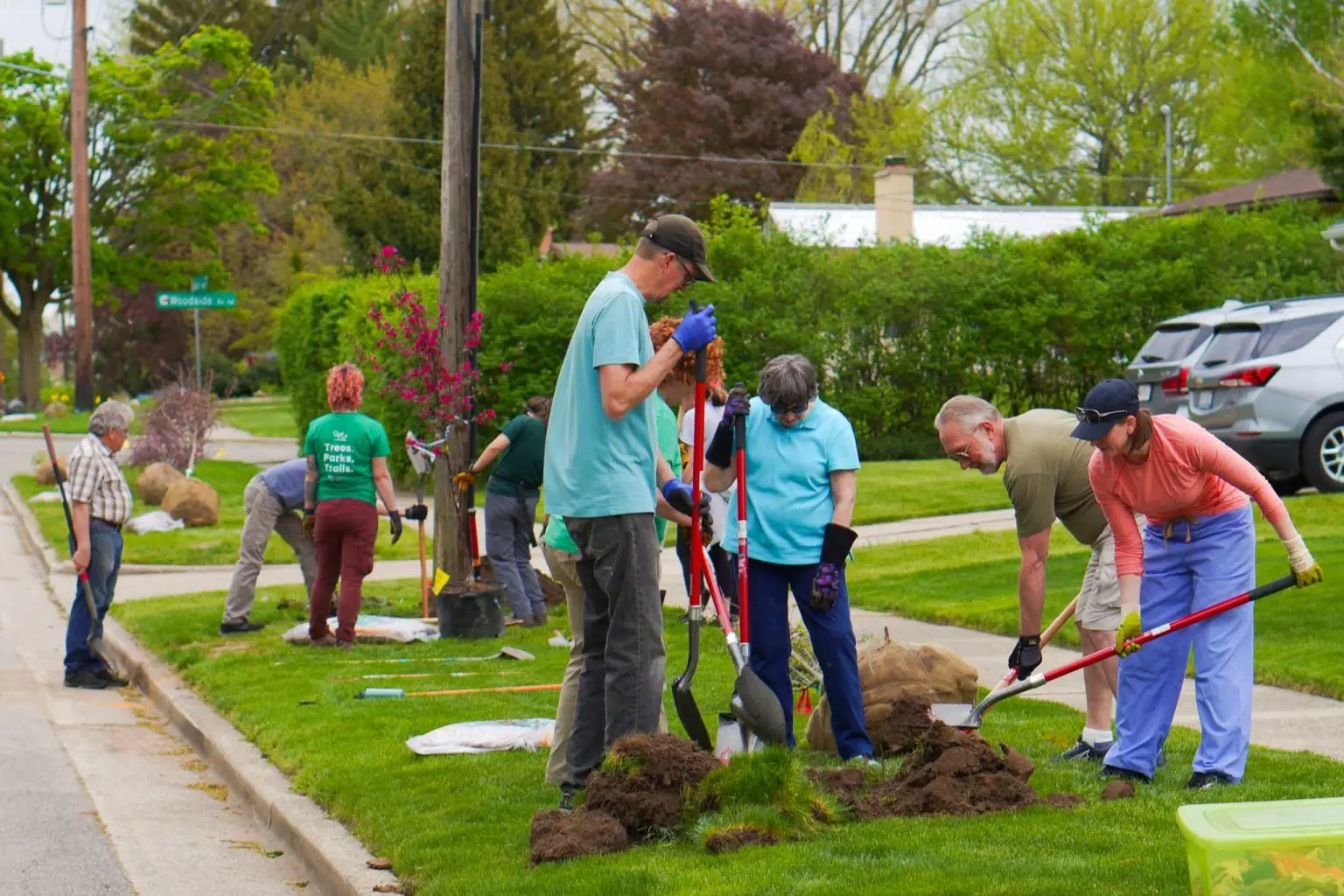 tree planting