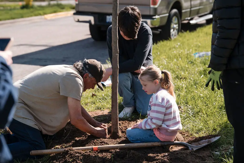 child planting a tree