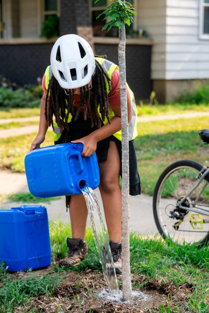 person watering tree