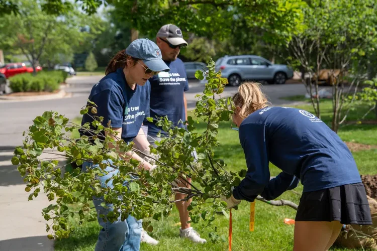 people in blue shirts planting a tree
