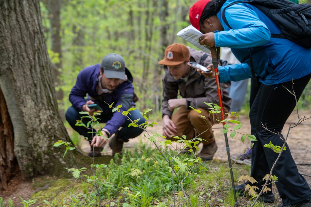 group of people examining a plant on the forest floor