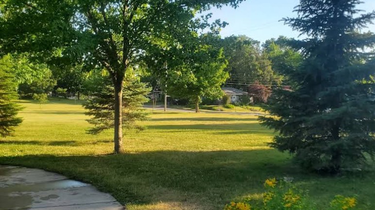 aberdeen park