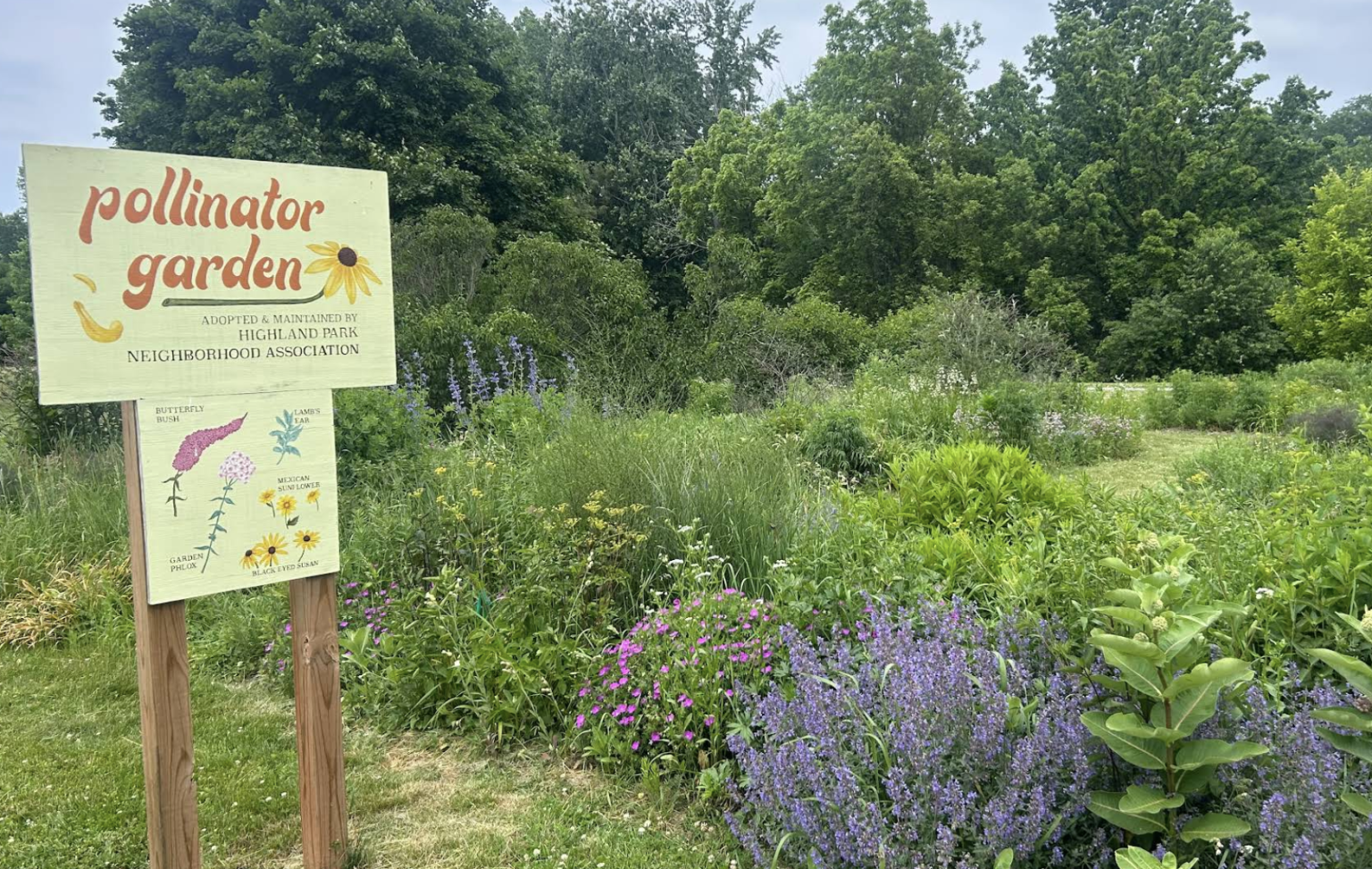 pollinator garden at highland park