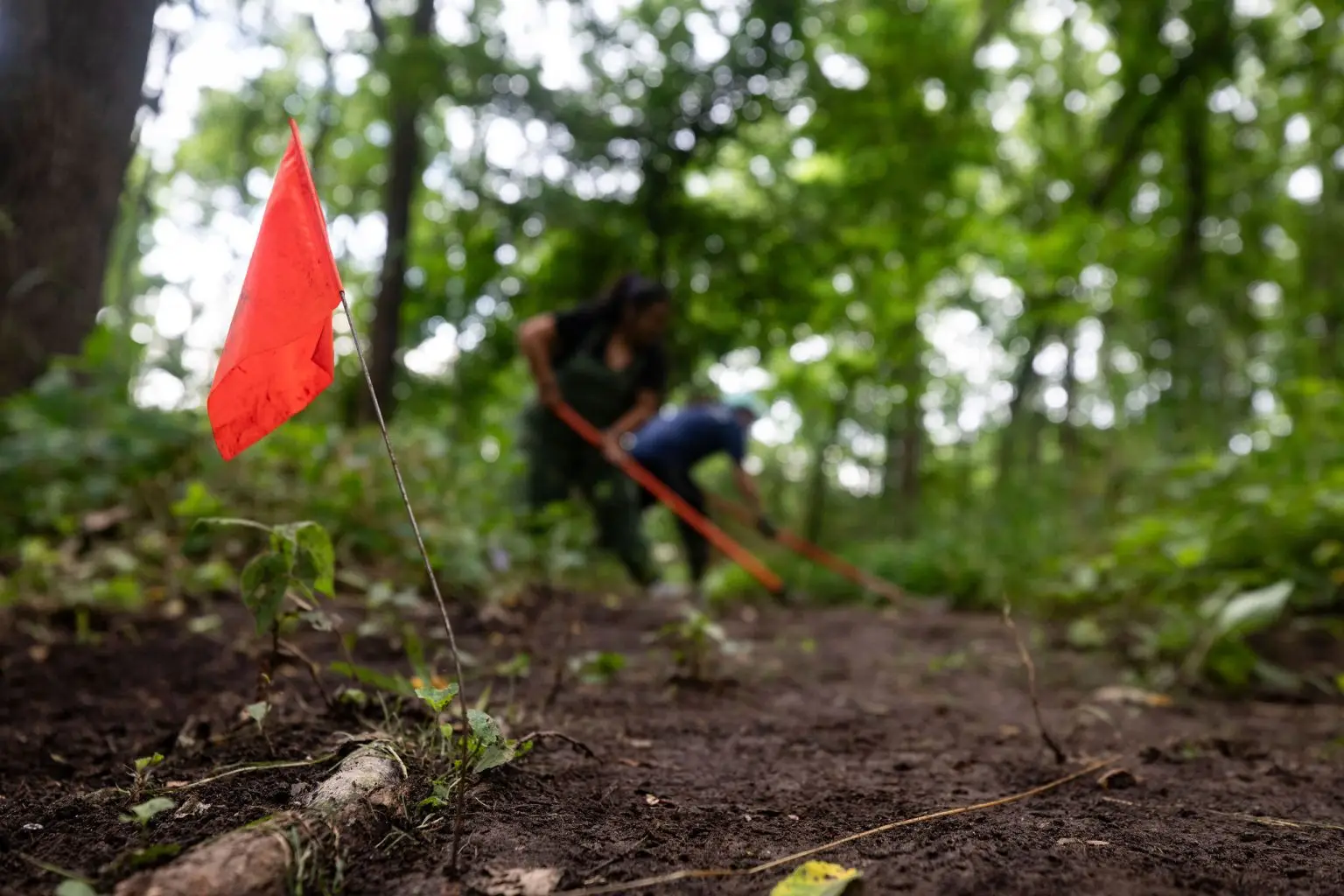 trail work